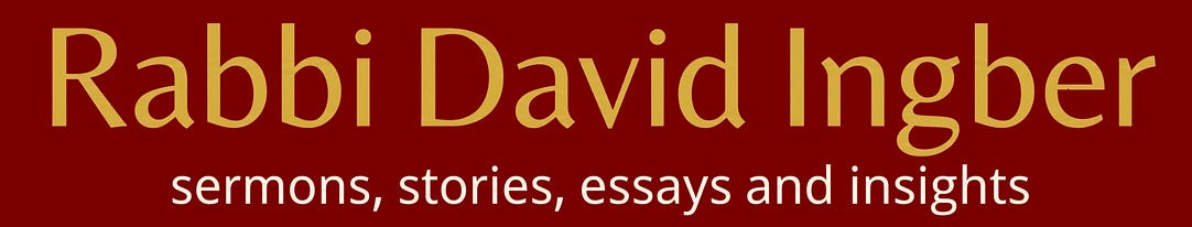 Rabbi David Ingber