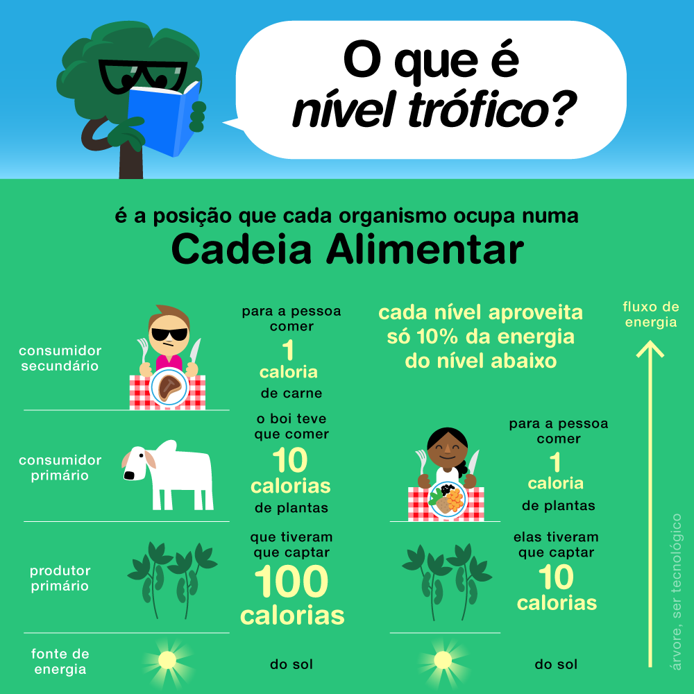 Planilha de cadeia alimentar pronta para impressão com design da floresta á, image size:1000x1000