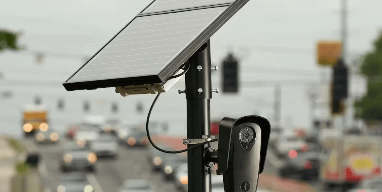 The Flock is Always Watching