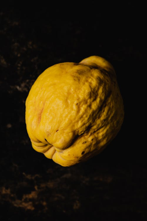 Free A close-up of a fresh quince with textured skin against a dark backdrop. Ideal for food concepts. Stock Photo