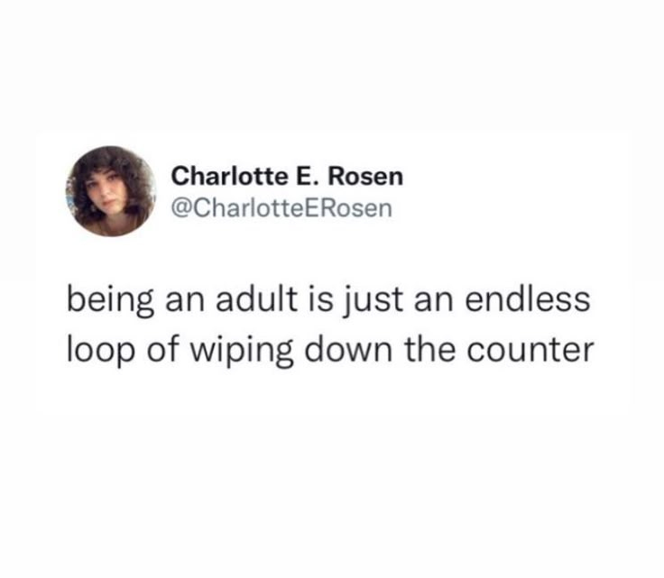 This may contain: charlotte e rosen on twitter about being an adult is just an endless loop of wiping down the counter