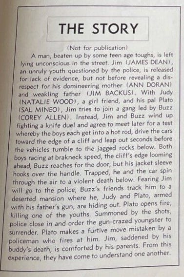 “Rebel’ press book story summary.
