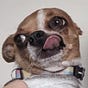 Jack's avatar