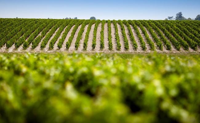 Pauillac - Bordeaux - Fine Wine Bon Coeur Fine Wines