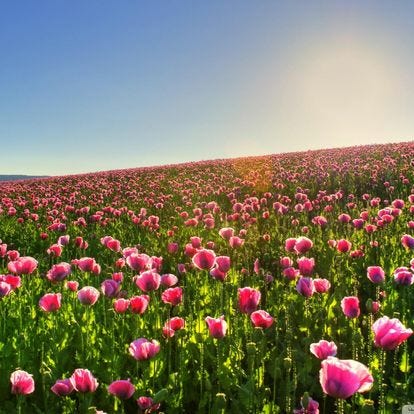 Here's My Favorite Part