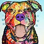 Marc Favell's avatar
