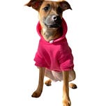 Don't Be a Dick to Your Dog