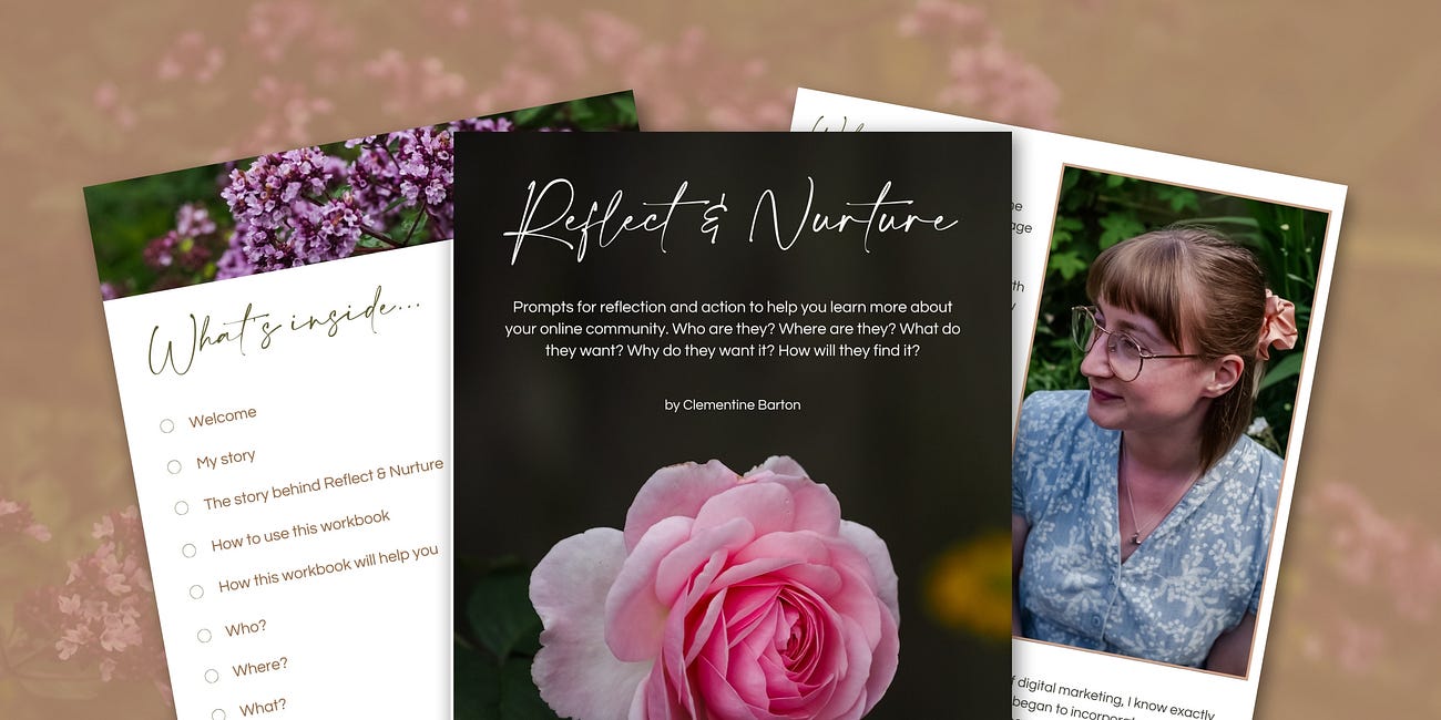 Reflect & Nurture - My New Digital Marketing Workbook