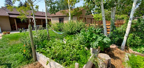 A nine-image gallery grid. Top row, left to right: geraniums and other flowers in a yard, a view of hills from the top of a ridge, a rainbow in a neighborhood. Middle row, left to right: Potted plants on a backyard patio, looking through trees to a river and a small village on the far side of the river, an abundant backyard garden. Bottom row, left to right: a chipmunk perched on the edge of a large metal dog bowl, getting a drink, graffiti on a train car, two magpies on a wire fence.