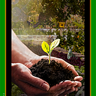 Two Archetype: Human Octave