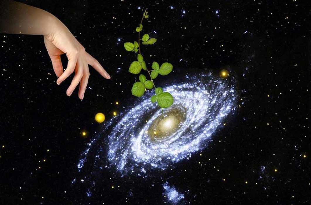 Panspermia theory argues that life came to Earth from elsewhere in our galaxy or even further away.(Dmitry / Adobe Stock)