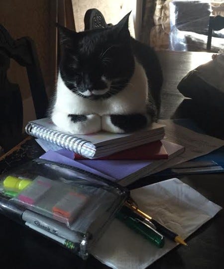 smithie curled in smithie curled in