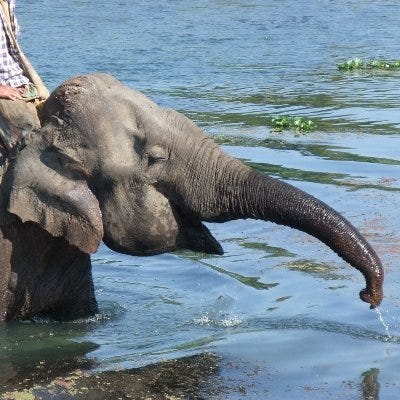 X avatar for @JacobAShell