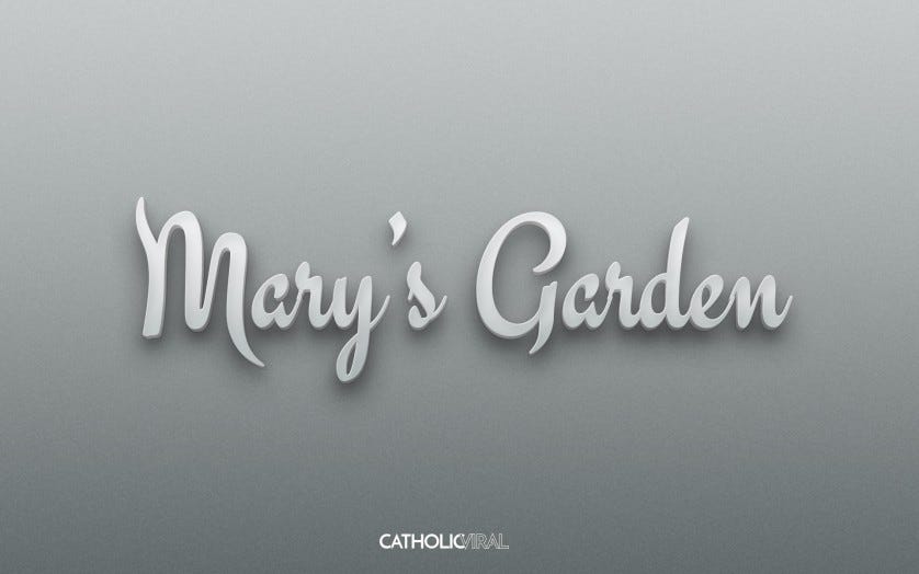 22 Catholic Sitcoms & Reality Shows that Need to Exist. Now. -