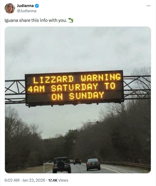 LEAR about LIZZARD WARNINGS!