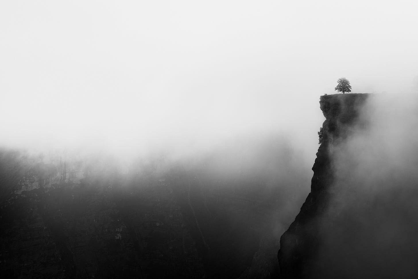 A cliff partially shrouded in fog