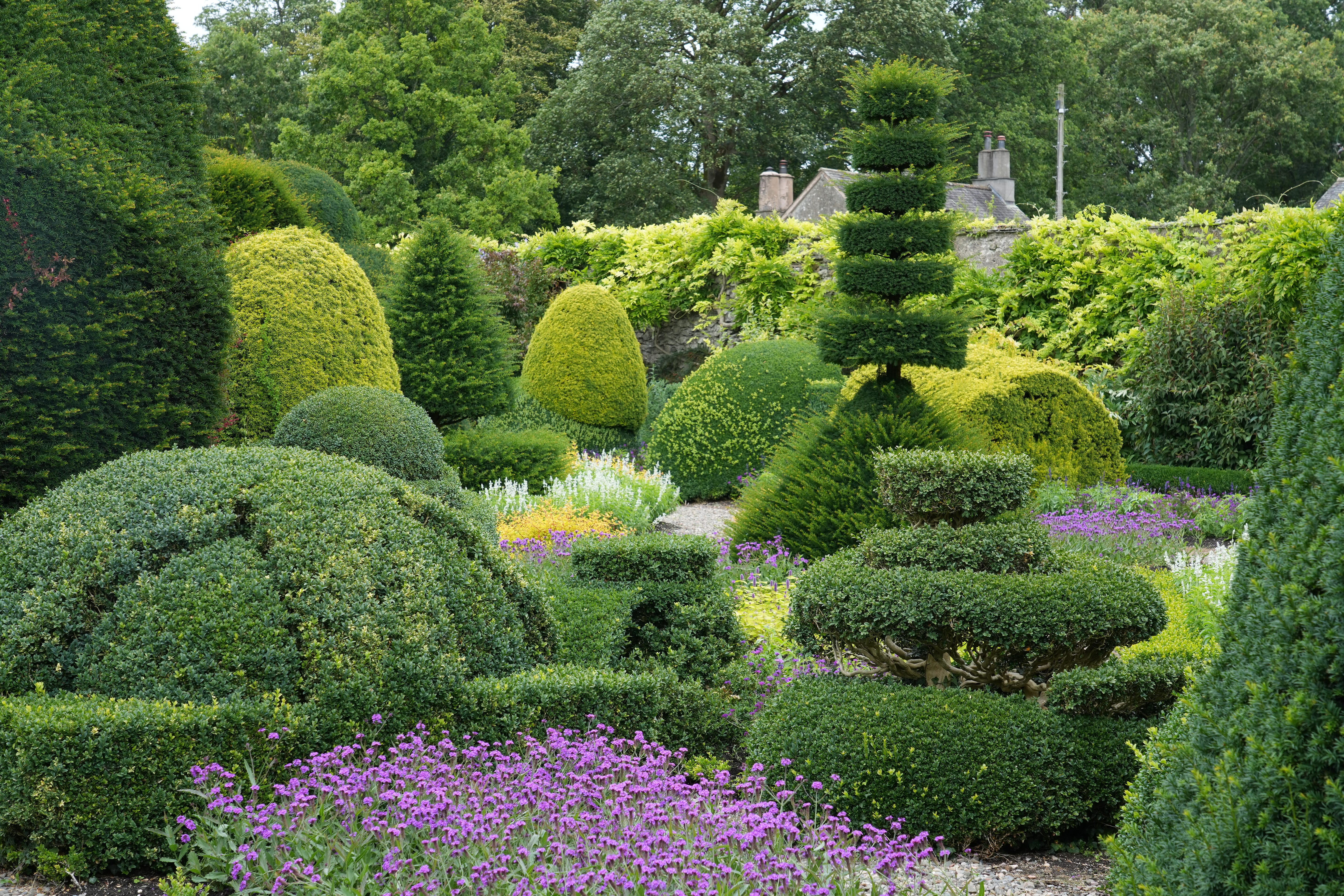 Levens Hall garden topiary
