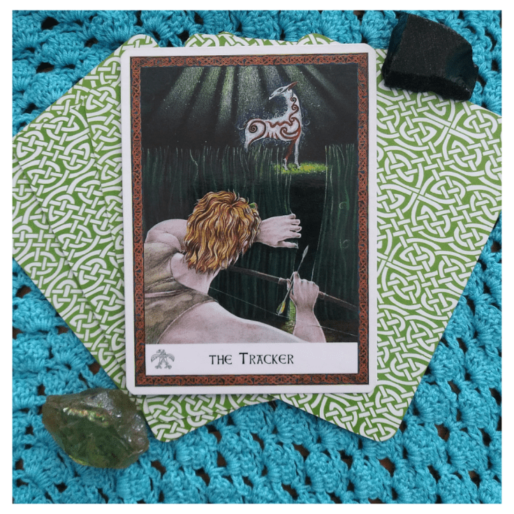 The Tracker, Celtic Wisdom Oracle Card The Tracker, Celtic Wisdom Oracle Card