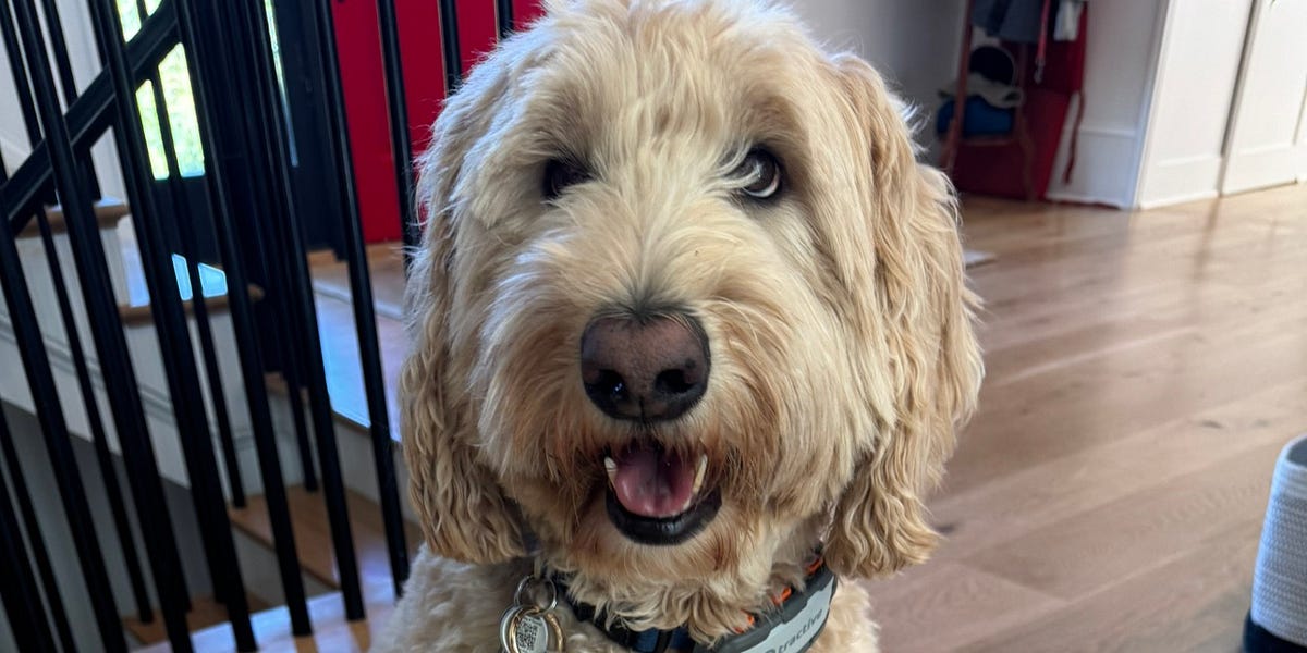 Volný přístav Hainan; Huawei vede čínský EUV „Projekt Manhattan“; Přehodnocení vztahů EU-Čína; Nemovitosti; Kognitivní válka