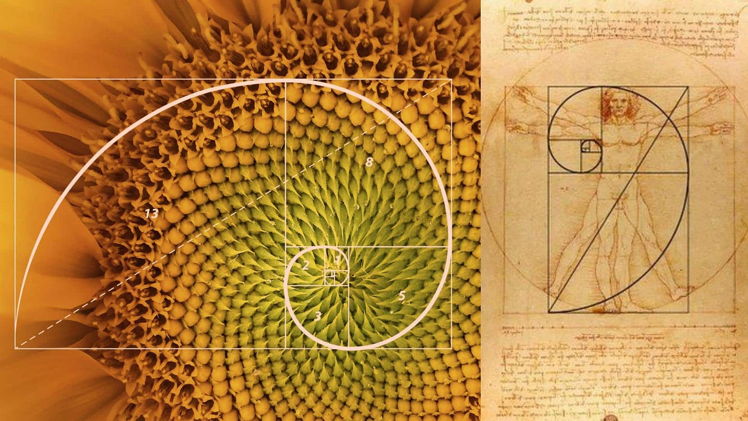 International Mathematics Day: Exploring Fibonacci sequence in nature and art International Mathematics Day: Exploring Fibonacci sequence in nature and art