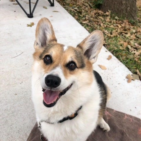 Sandra Kay's All Stories Great and Small 