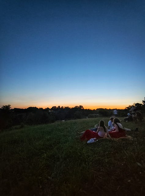 Alcune foto dal Polja Festival: il palco e la location, il pop-up store della vineria Proces, i concerti