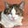 Susan's avatar