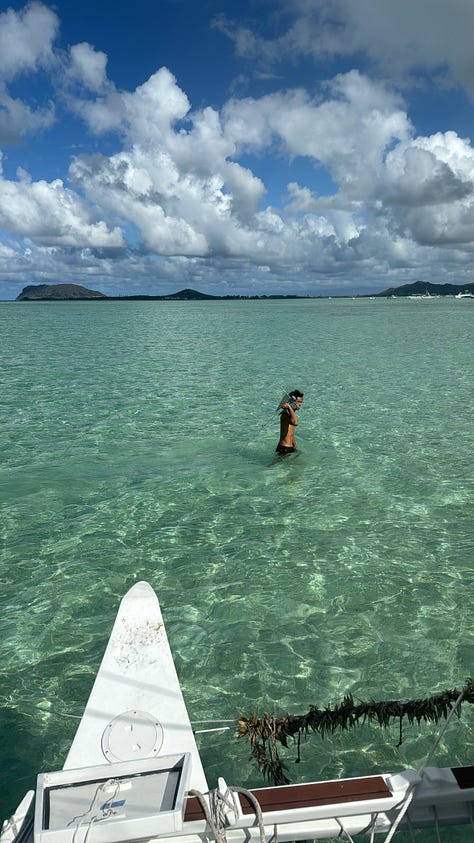 friends frolicking around kaneohe sandbar on a magical sunny day
