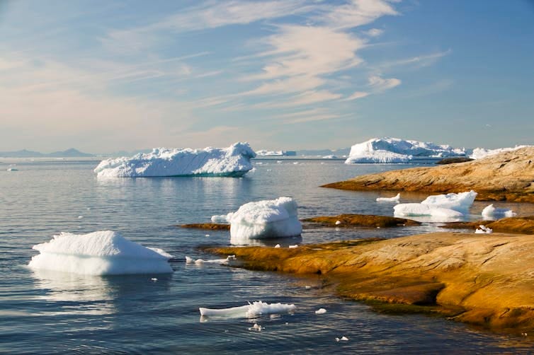 icebergs from glacier.