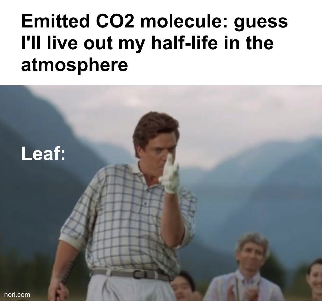 Text: "Emitted CO2 molecule: guess I'll live out my half-life in the atmosphere." Below, labelled "Leaf:", Shooter McGavin from Happy Gilmore doing his finger-gun gesture.