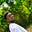Ade's avatar
