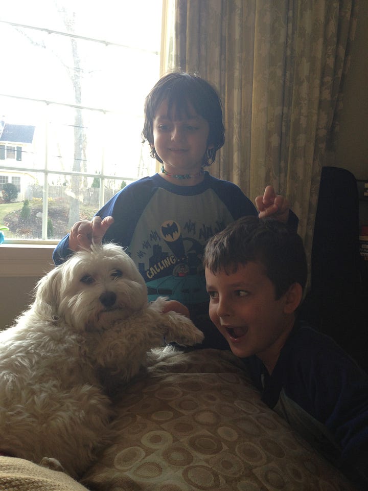 White Havanese with various family members who are all smiling