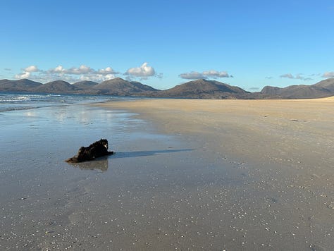 Photographs of Luskentyre Beach with Billy the Collie