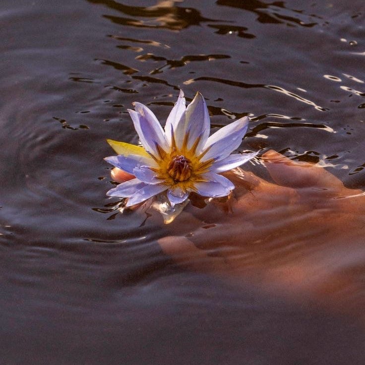 The Radiant Path to True Self