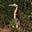 Flappy247's avatar
