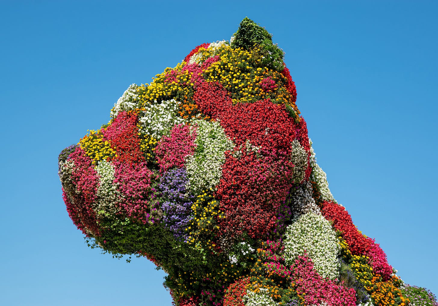Puppy de Jeff Koons 2021 Bilbao, España Puppy de Jeff Koons 2021 Bilbao, España