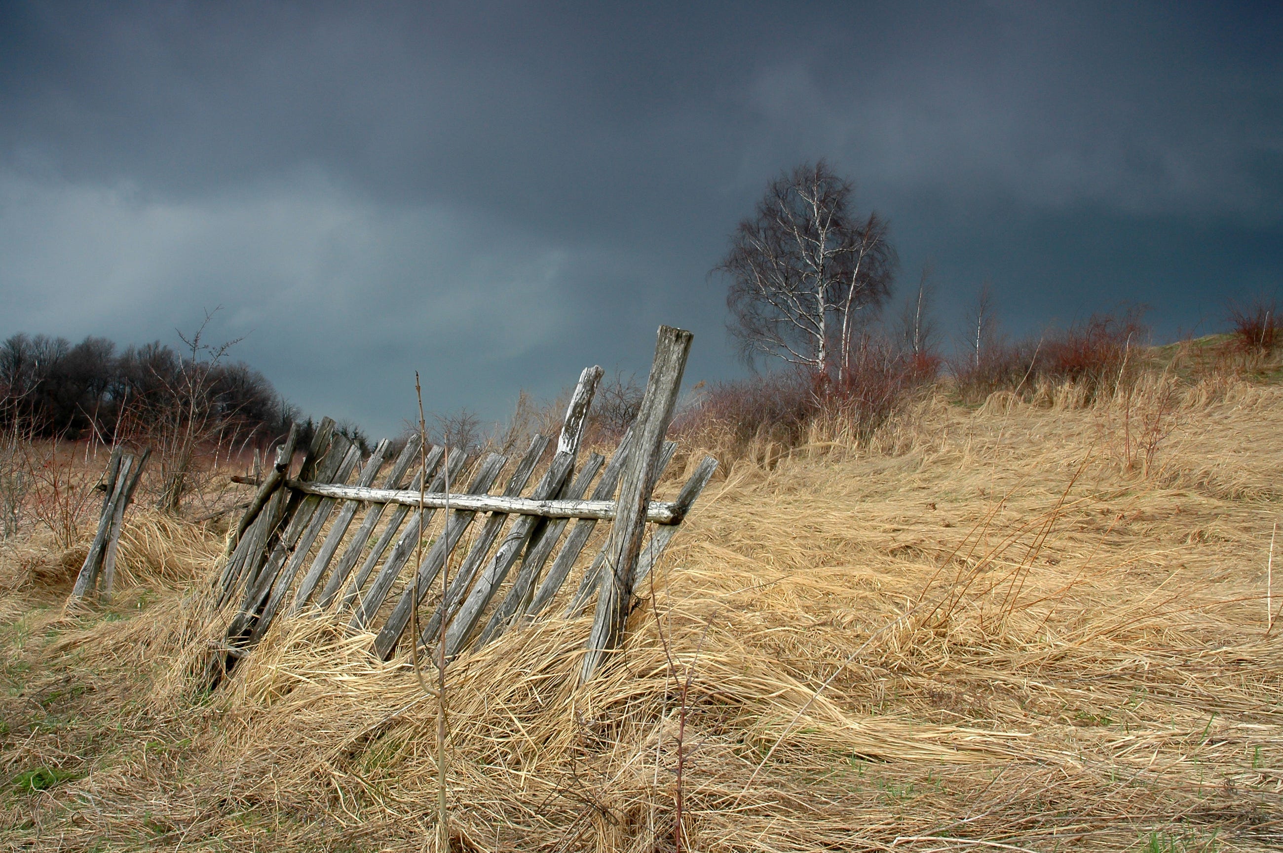 Cloudy sky just before the storm. The mild light paints the stubble, on which stands a fragment of a wooden fence. In the distance, lonely willows await the rain By pawczar- Adobe Stock licensed Cloudy sky just before the storm. The mild light paints the stubble, on which stands a fragment of a wooden fence. In the distance, lonely willows await the rain By pawczar- Adobe Stock licensed