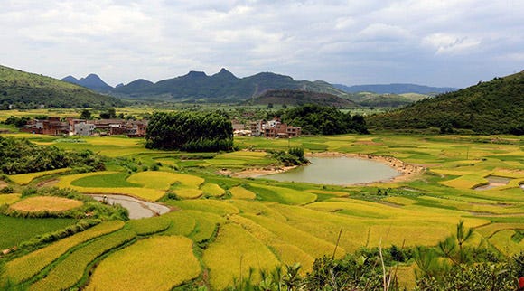 transfer markets for the rights to use rural land are hoped to support moderate-scale agriculture