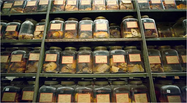 A shelf full of jars with food

Description automatically generated