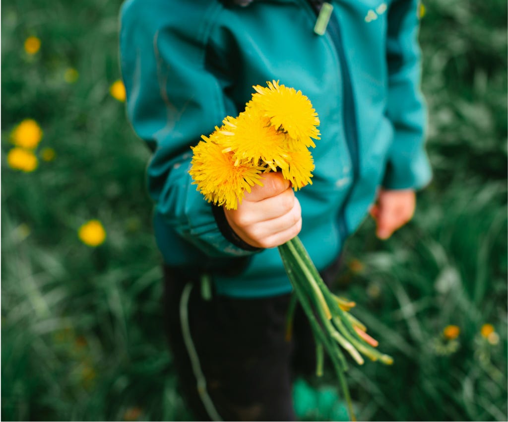 A slightly out-of-focus-young boy in green zip-front fuzzy jacket with a bouquet of 5 yellow dandelions clenched in one hand. The boy can only be seen from his shoulders down to his knees.  He has a pair of black pants on with a chartreuse stripe down the side. In the background are a few dandelions in the bight green blurred grass.