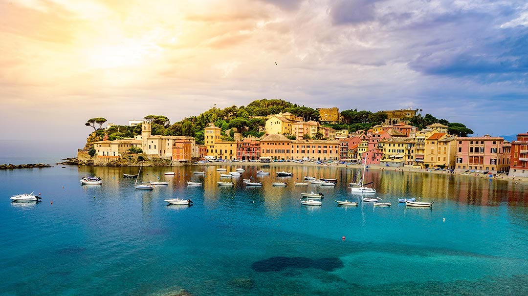 MSC Magnifica Cruise Ship | MSC Cruises