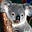 koalamui's avatar