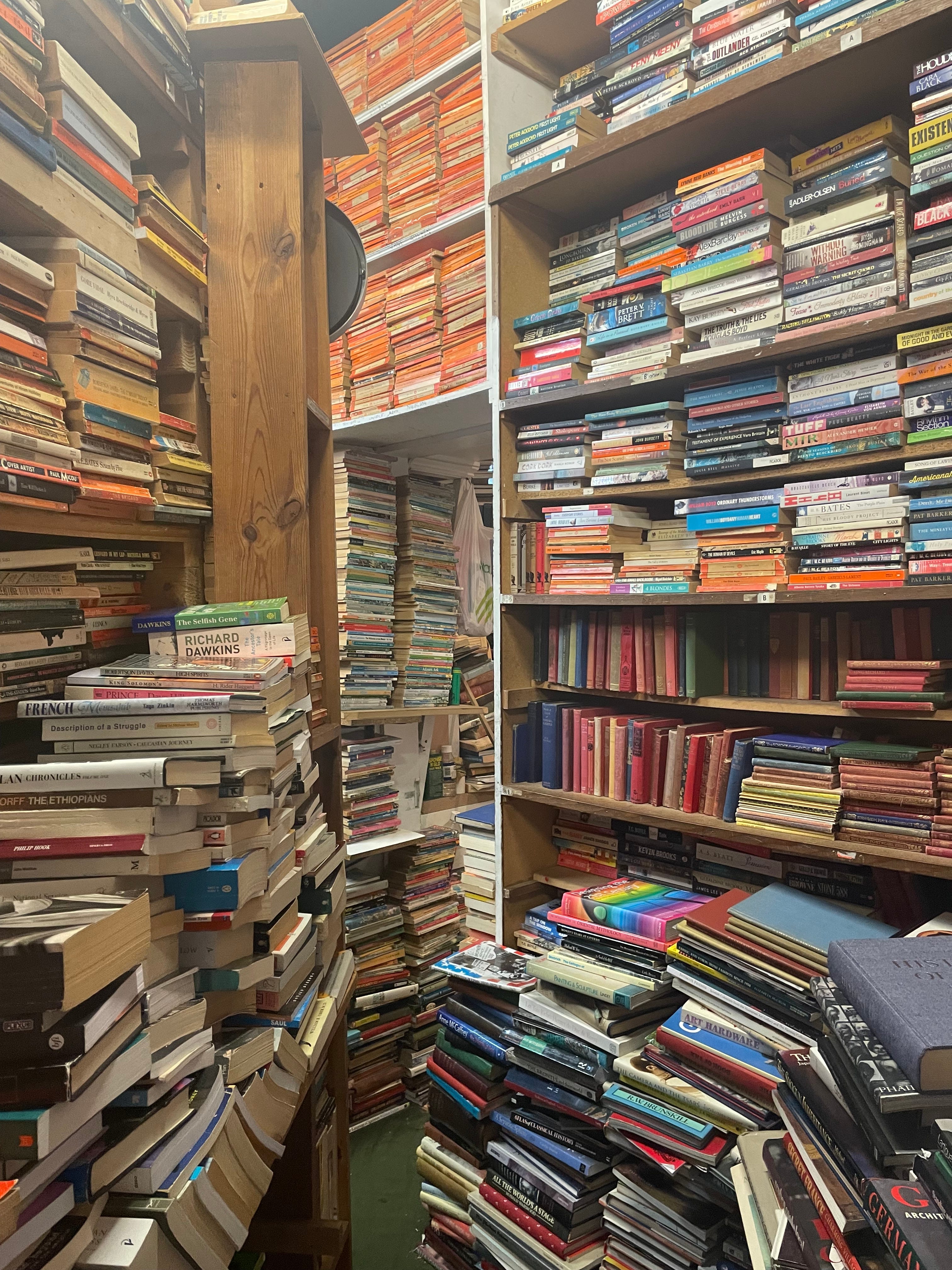 Cover image for Singing at the Library