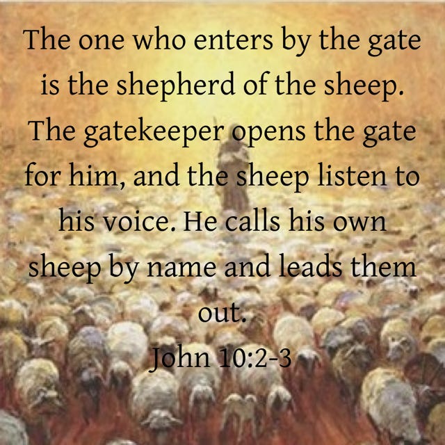 Gate for the sheep Gate for the sheep