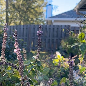 On grief, gardening, and what it means to come alive.