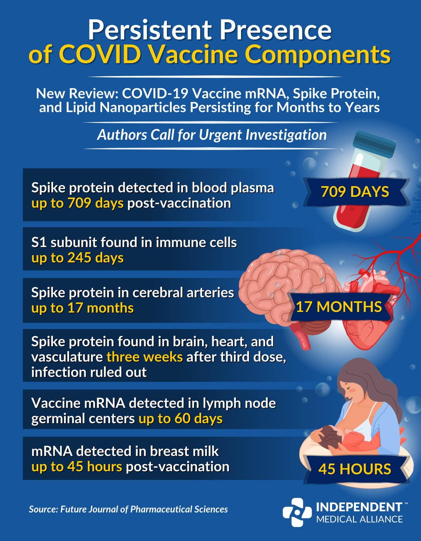 Infographie sur la persistance des fragments de COVID-19