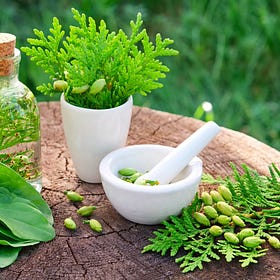 Alternative Medicine