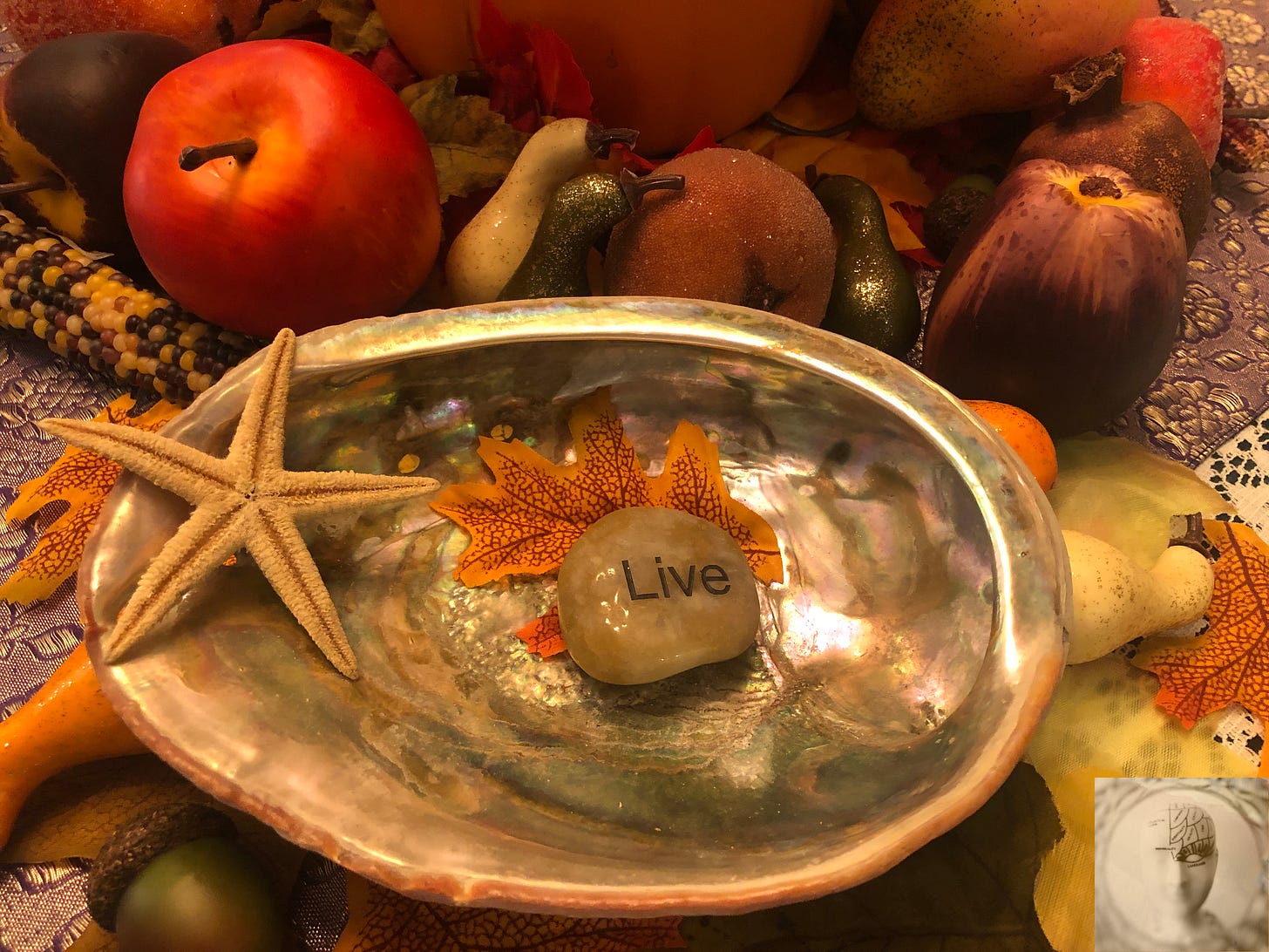 abalone shell, starfish, LIVE engraved stone nestle on fall colored leaves surrounded by autumn harvest