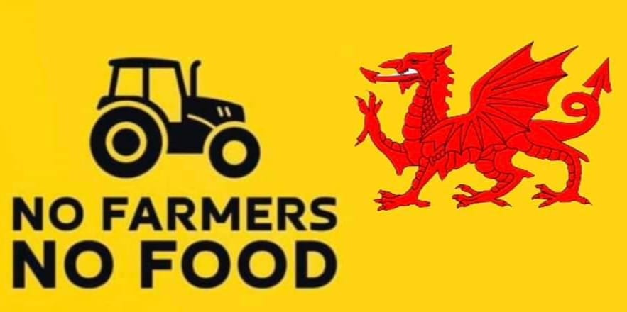 May be an image of text that says '마 NO FARMERS NO FOOD'