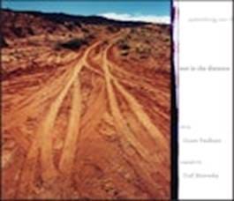 something out there in the distance